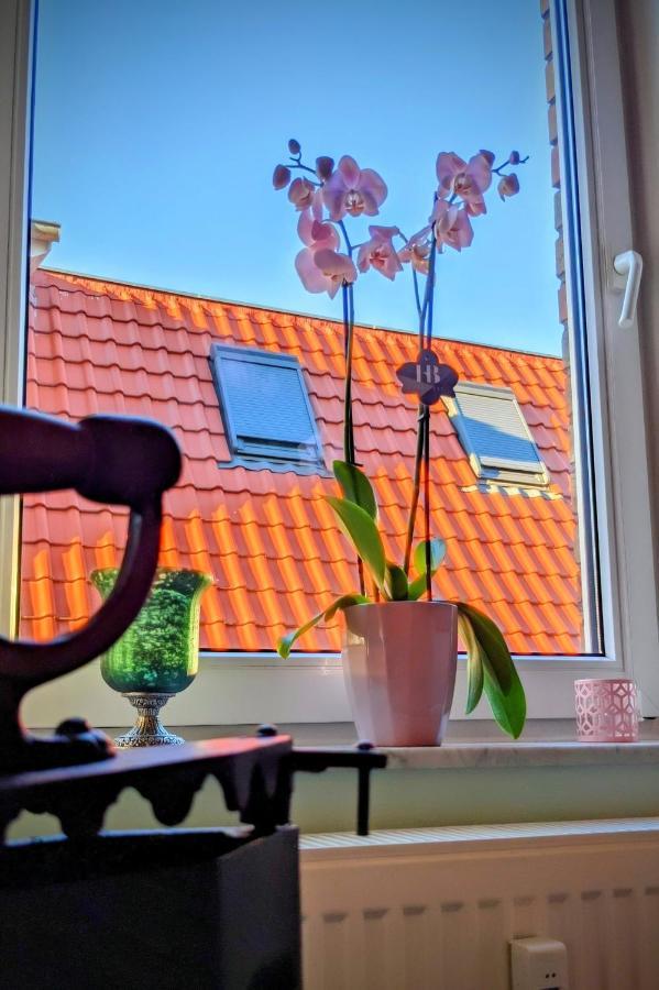 Queen Apartment Uelzen Buitenkant foto